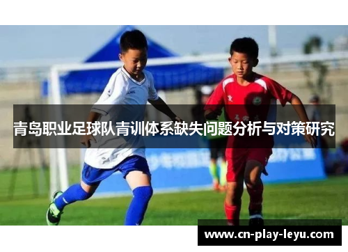 青岛职业足球队青训体系缺失问题分析与对策研究