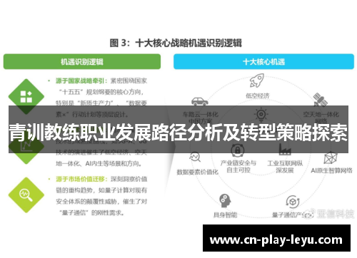 青训教练职业发展路径分析及转型策略探索