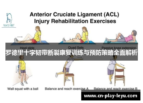 罗德里十字韧带断裂康复训练与预防策略全面解析